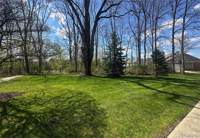 Mature wooded grounds and open lawn