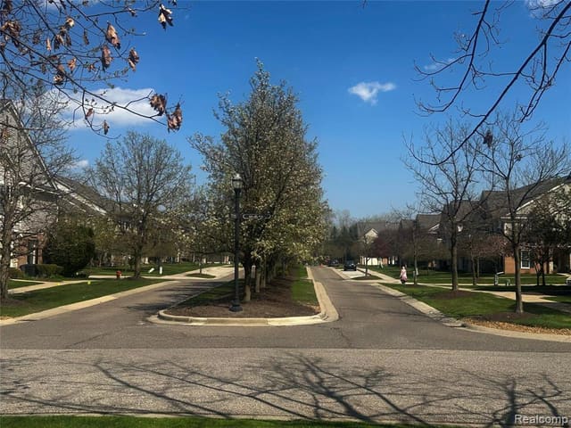 Wider view of the community grounds